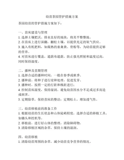 幼苗茶园管护措施方案