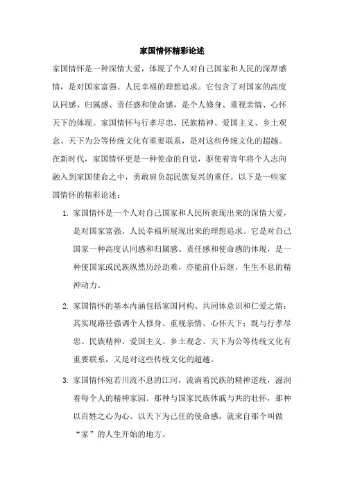 家国情怀精彩论述