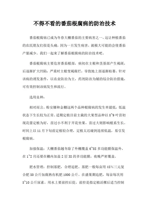 不得不看的番茄根腐病的防治技术