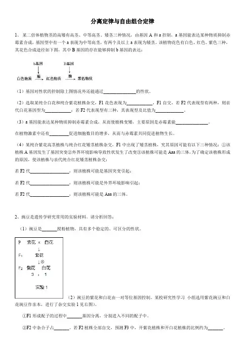 分离定律和自由组合定律  专项练习