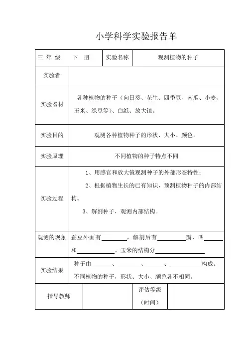 2023年教科版小学三年级科学下册全册实验报告单