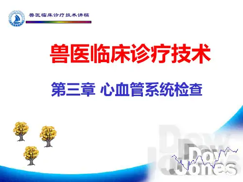 4-第三章 心血管系统检查37