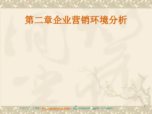 《企业营销环境分析》PPT课件