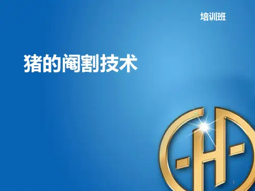 猪的阉割技术PPT课件
