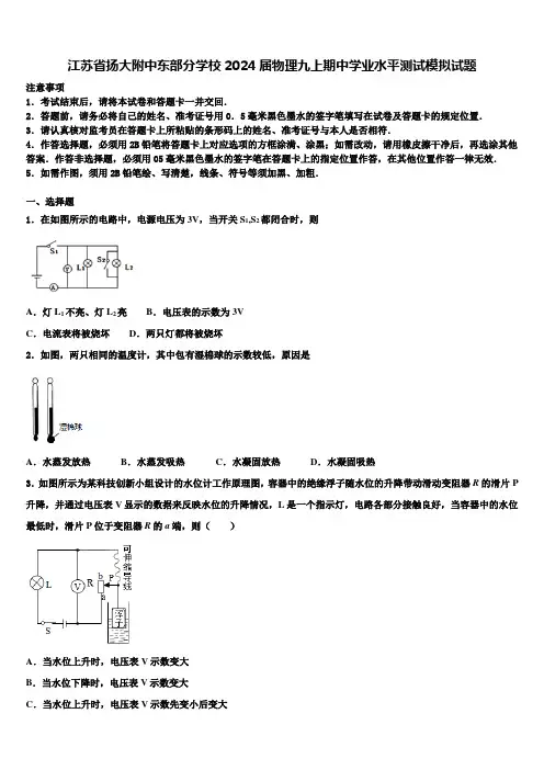 江苏省扬大附中东部分学校2024届物理九上期中学业水平测试模拟试题含解析