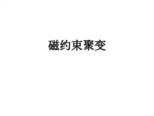 磁约束聚变