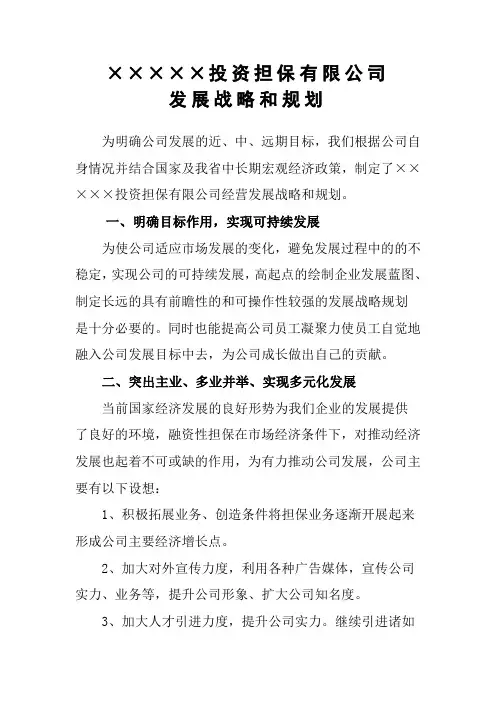 担保有限公司发展战略和规划