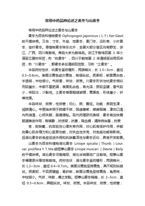 常用中药品种论述之麦冬与山麦冬