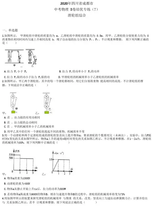 2020年四川省成都市中考物理B卷培优专练(7)滑轮组综合Word含答案