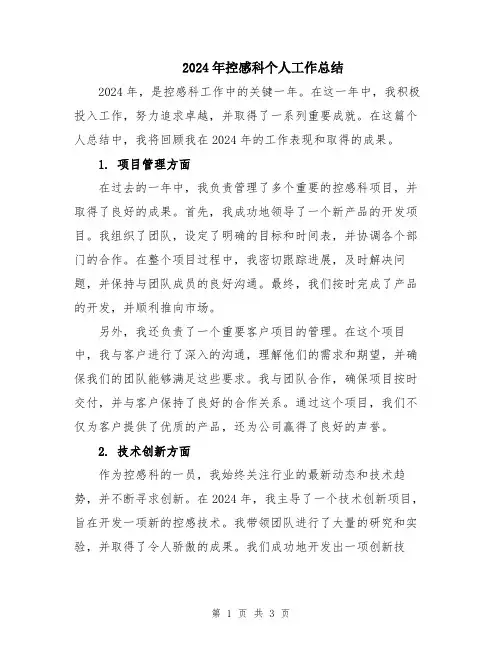 2024年控感科个人工作总结