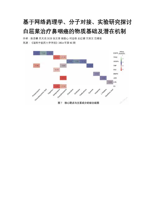 基于网络药理学、分子对接、实验研究探讨白屈菜治疗鼻咽癌的物质基础及潜在机制
