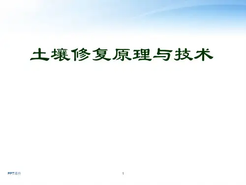 土壤修复原理与技术  ppt课件