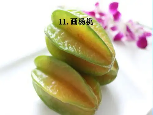 新课标人教版第六册语文画杨桃优秀课件下载课件PPT