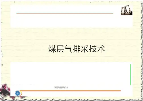 煤层气排采技术