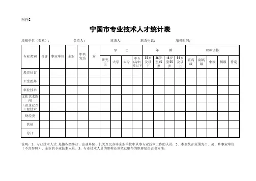 专业技术人才统计表