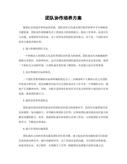 团队协作培养方案