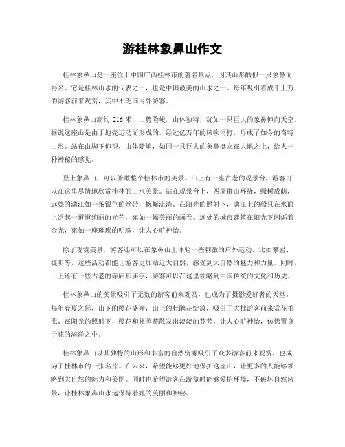 游桂林象鼻山作文