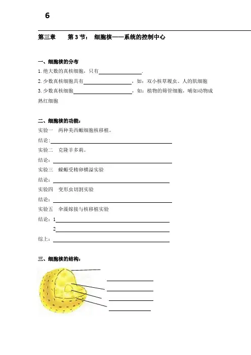 辽宁省本溪满族自治县高级中学高中生物必修一：3-3 细