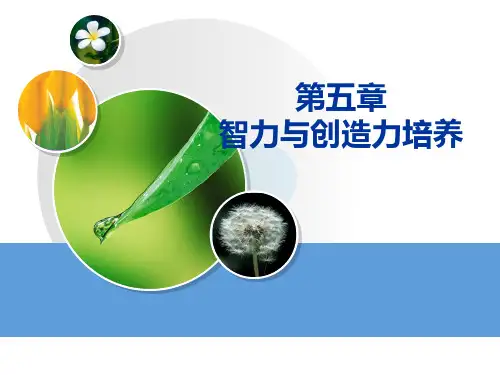 教育心理学莫雷版 第五章智力与创造力培养