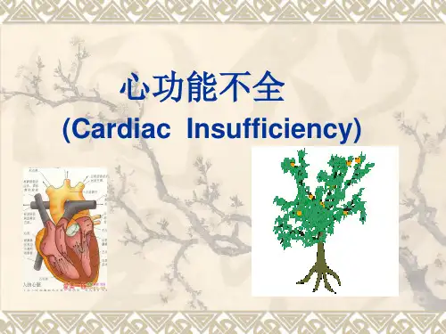 第十四章心衰