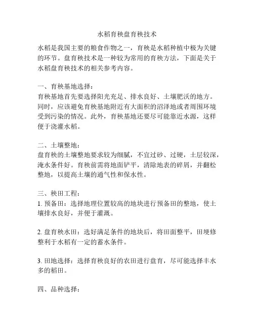 水稻育秧盘育秧技术