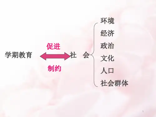 第二章学前教育与社会因素PPT幻灯片