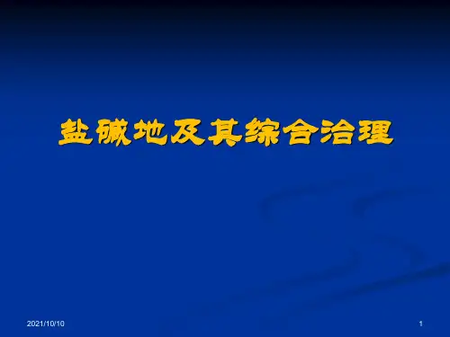 盐碱地及其综合治理