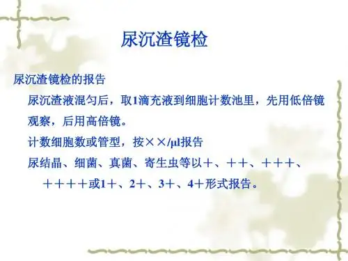 尿液显微镜检查