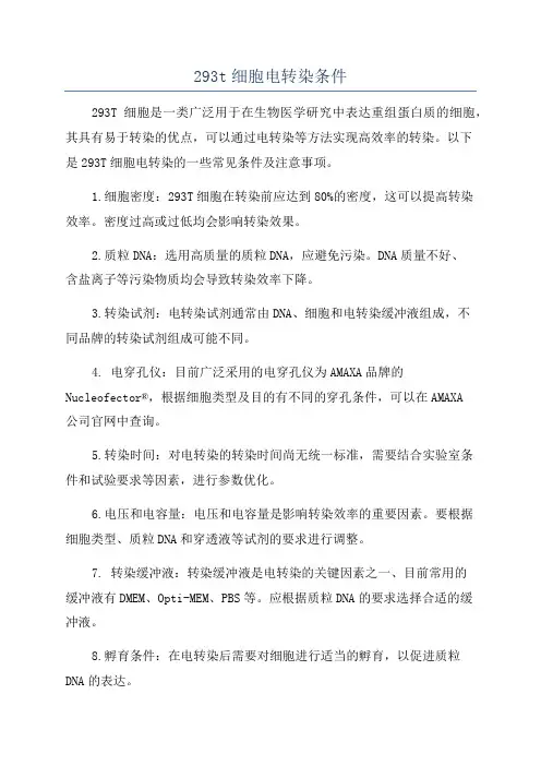 293t细胞电转染条件