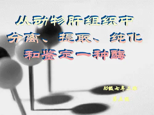 从动物肝组织中分离、提取、纯化和鉴定一种酶