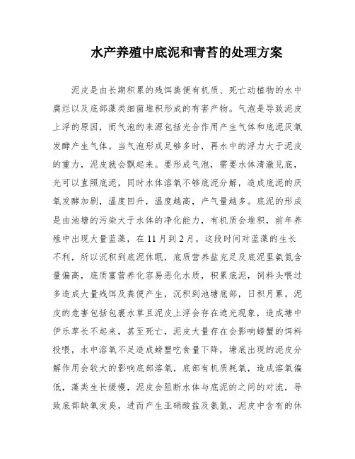 水产养殖中底泥和青苔的处理方案