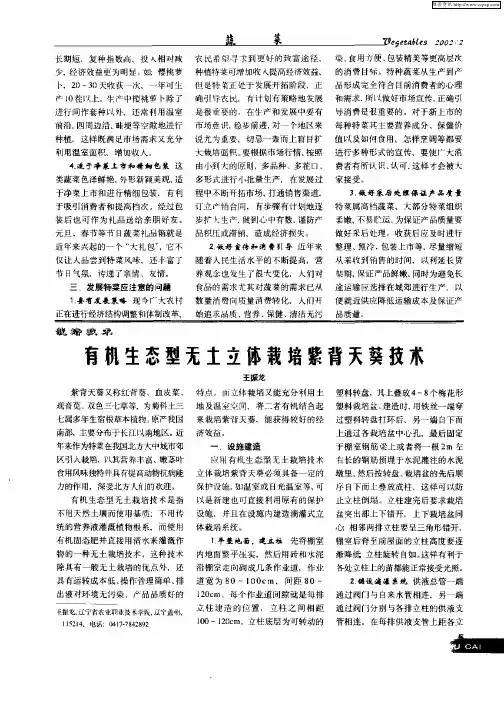 有机生态型无土立体栽培紫背天葵技术