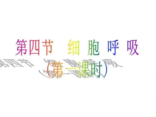 浙科版高中生物必修1第三章第四节细胞呼吸(第1课时)课件 (共32张PPT)