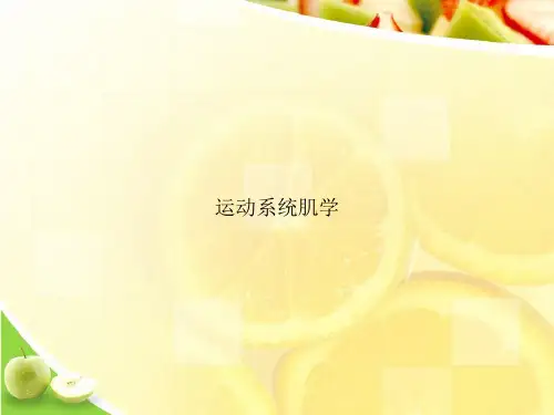 运动系统肌学ppt文档
