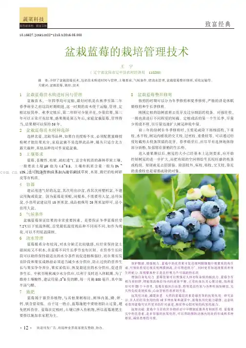 盆栽蓝莓的栽培管理技术