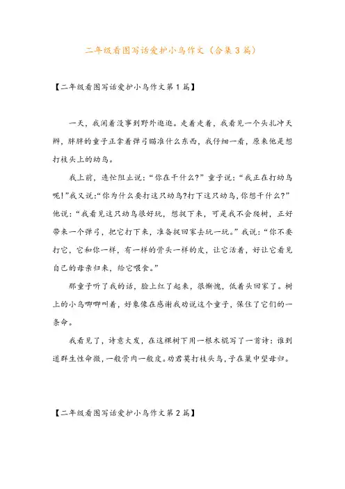 二年级看图写话爱护小鸟作文(合集3篇)