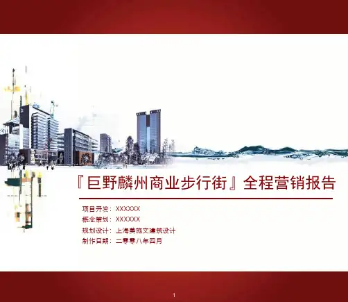 菏泽市巨野县麟州商业步行街项目全程...