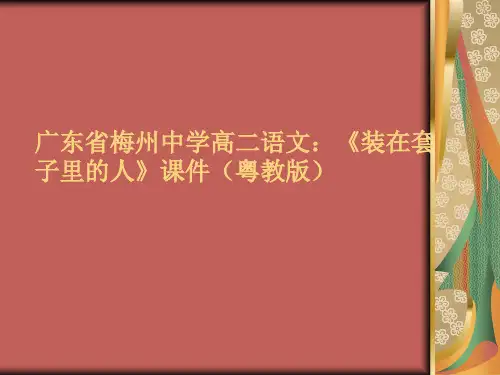 高二语文《装在套子里的人》课件PPT课件人教版