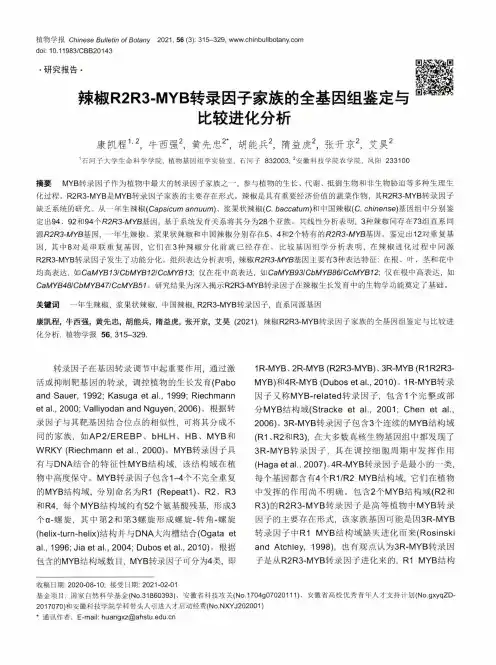 辣椒R2R3-MYB转录因子家族的全基因组鉴定与比较进化分析