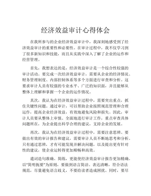 经济效益审计心得体会