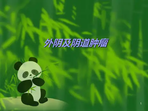 外阴阴道肿瘤ppt课件