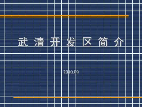 武清开发区简介中文1(.9)PPT课件