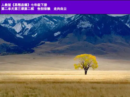 告别依赖,走向自立ppt优秀课件12 人教版