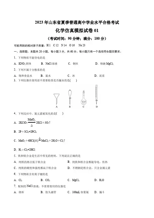 山东省夏季普通高中学业水平合格考试化学仿真模拟试卷01(考试版)