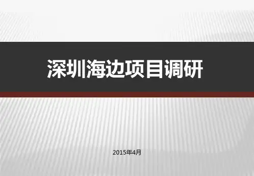 深圳海边项目调研20150413