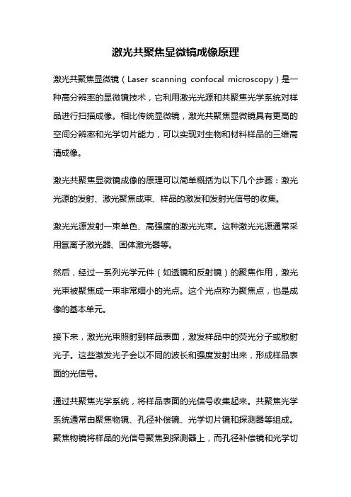 激光共聚焦显微镜成像原理