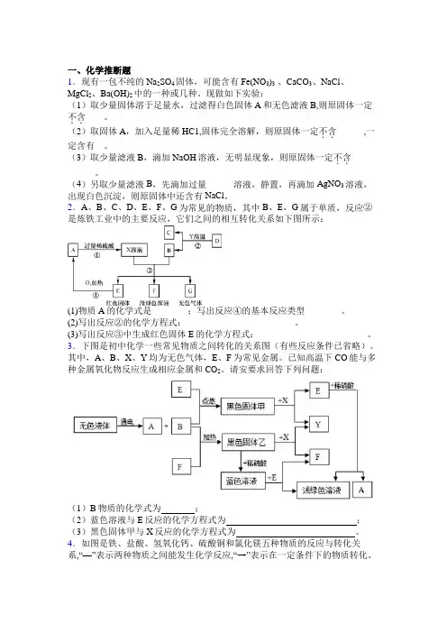 成都市实验外国语学校中考化学推断题试卷及答案