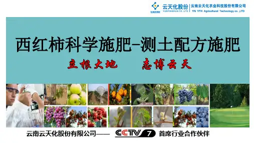 测土配方施肥方案——西红柿
