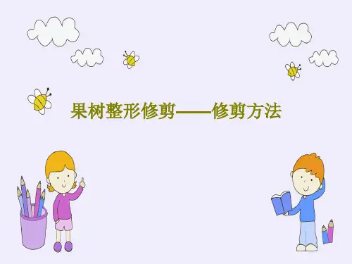 果树整形修剪——修剪方法共42页