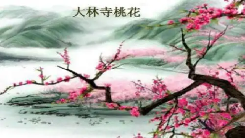 大林寺桃花课件